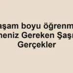 yasam-boyu-ogrenme-bilmeniz-gereken-sasirtici-gercekler.webp